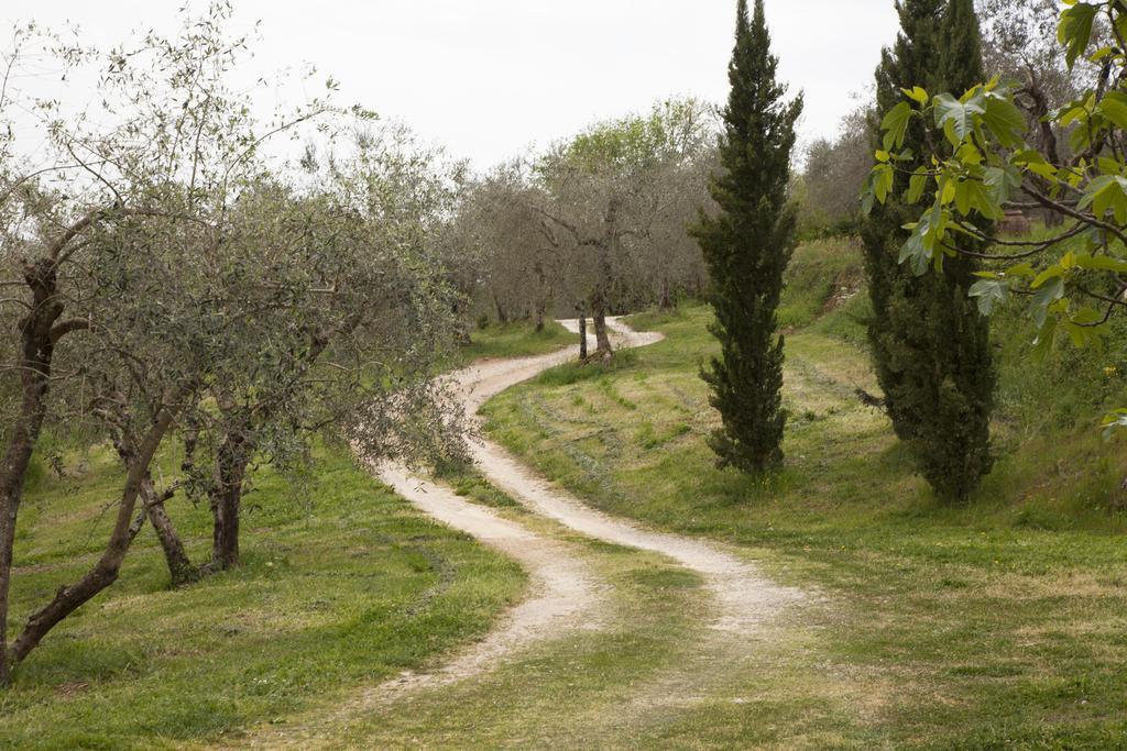 Agriturismo Borgo Personatina Sovicille Bagian luar foto