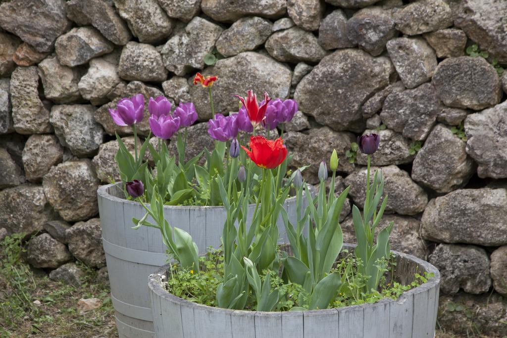 Agriturismo Borgo Personatina Sovicille Bagian luar foto